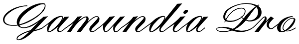 Gamundia Pro Font