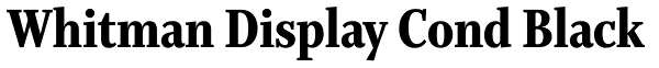 Whitman Display Cond Black Font