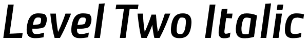 Level Two Italic Font