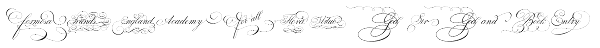 Penabico Words Font