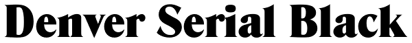Denver Serial Black Font