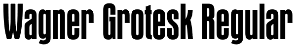 Wagner Grotesk Regular Font