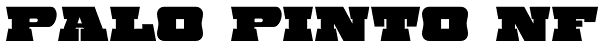 Palo Pinto NF Font
