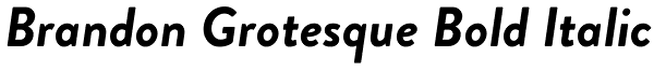 Brandon Grotesque Bold Italic Font