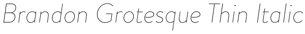 Brandon Grotesque Thin Italic Font