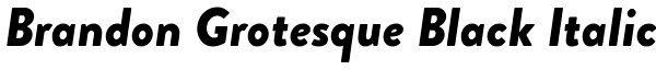 Brandon Grotesque Black Italic Font