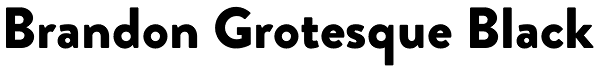 Brandon Grotesque Black Font