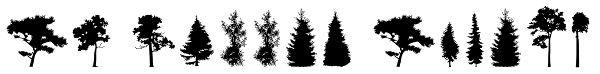 FT Hidden Forest Font