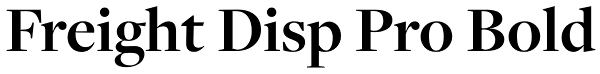 Freight Disp Pro Bold Font