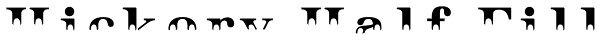 Hickory Half Fill Font