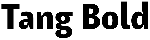 Tang Bold Font