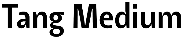 Tang Medium Font
