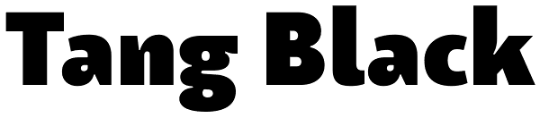 Tang Black Font