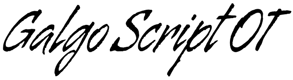 Galgo Script OT Font