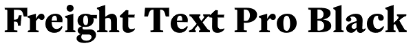 Freight Text Pro Black Font
