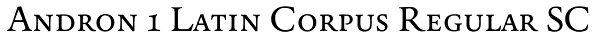 Andron 1 Latin Corpus Regular SC Font