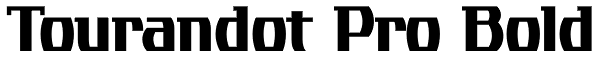 Tourandot Pro Bold Font