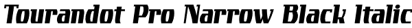 Tourandot Pro Narrow Black Italic Font