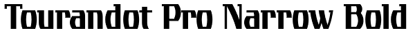 Tourandot Pro Narrow Bold Font