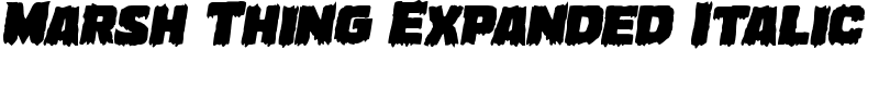 Marsh Thing Expanded Italic Font