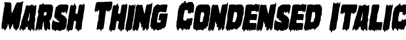 Marsh Thing Condensed Italic Font