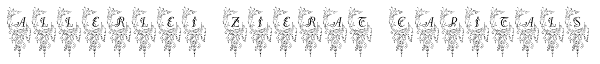Allerlei Zierat Capitals Font