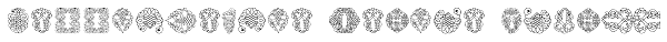 Calligraphia Latina Soft2 Font