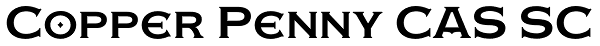 Copper Penny CAS SC Font