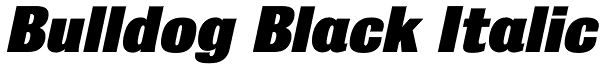Bulldog Black Italic Font