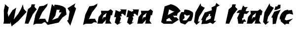 WILD1 Larra Bold Italic Font