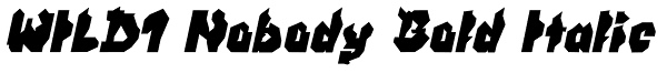 WILD1 Nobody Bold Italic Font