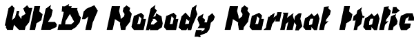 WILD1 Nobody Normal Italic Font