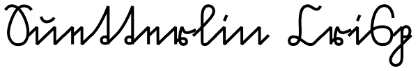 Suetterlin Crisp Font