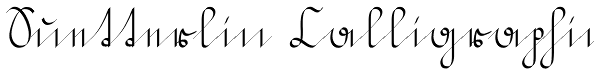 Suetterlin Calligraphic Font