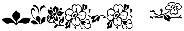 Ornata E Font