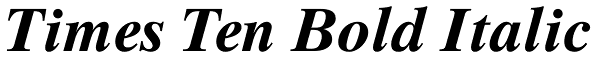 Times Ten Bold Italic Font