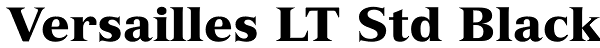 Versailles LT Std Black Font
