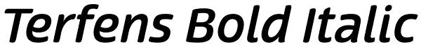Terfens Bold Italic Font