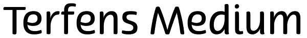 Terfens Medium Font