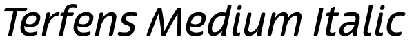 Terfens Medium Italic Font
