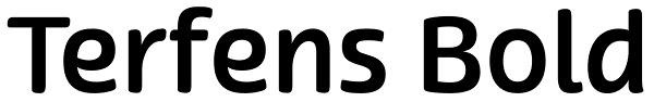 Terfens Bold Font