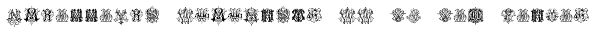 Intellecta Monograms MM-NR New Series Font