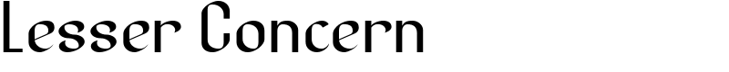 Lesser Concern Font