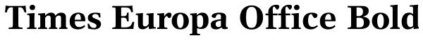 Times Europa Office Bold Font