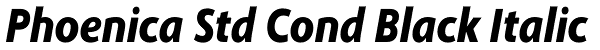 Phoenica Std Cond Black Italic Font