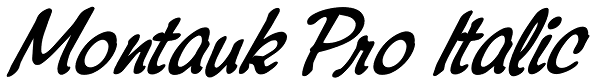 Montauk Pro Italic Font