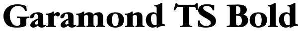 Garamond TS Bold Font
