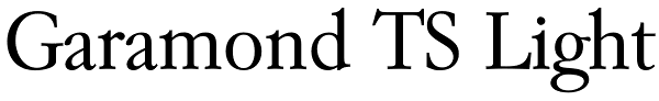 Garamond TS Light Font