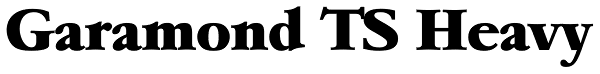 Garamond TS Heavy Font