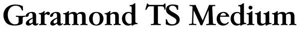 Garamond TS Medium Font